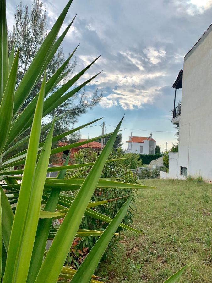 Summer Luxury Villa With Sea View Μεταμόρφωση Εξωτερικό φωτογραφία